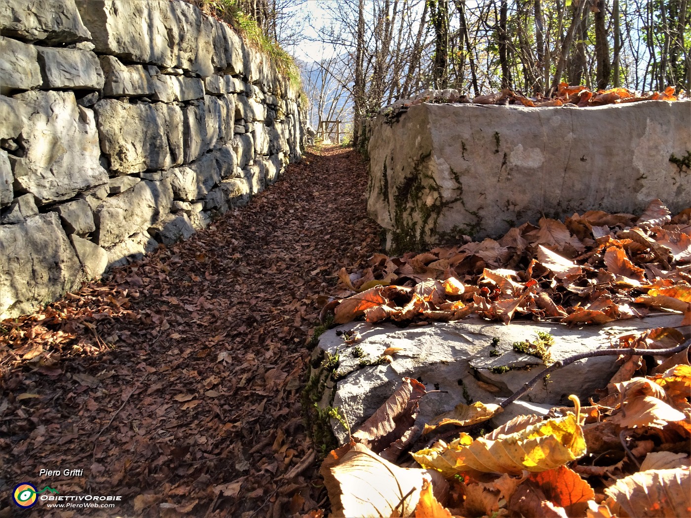 49 Sentiero colorato d'autunno .JPG